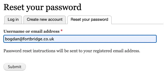 Password reset poisoning - adding victim's email to reset the password
